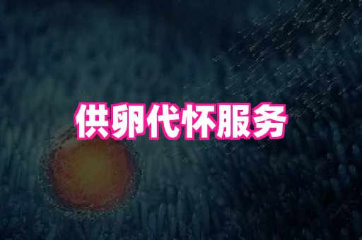 swisee孕网 1