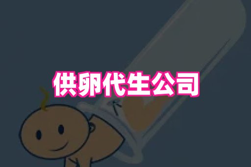 swisee孕网 2