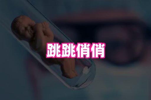 swisee孕网 3