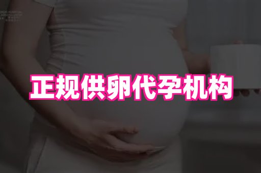swisee孕网 4